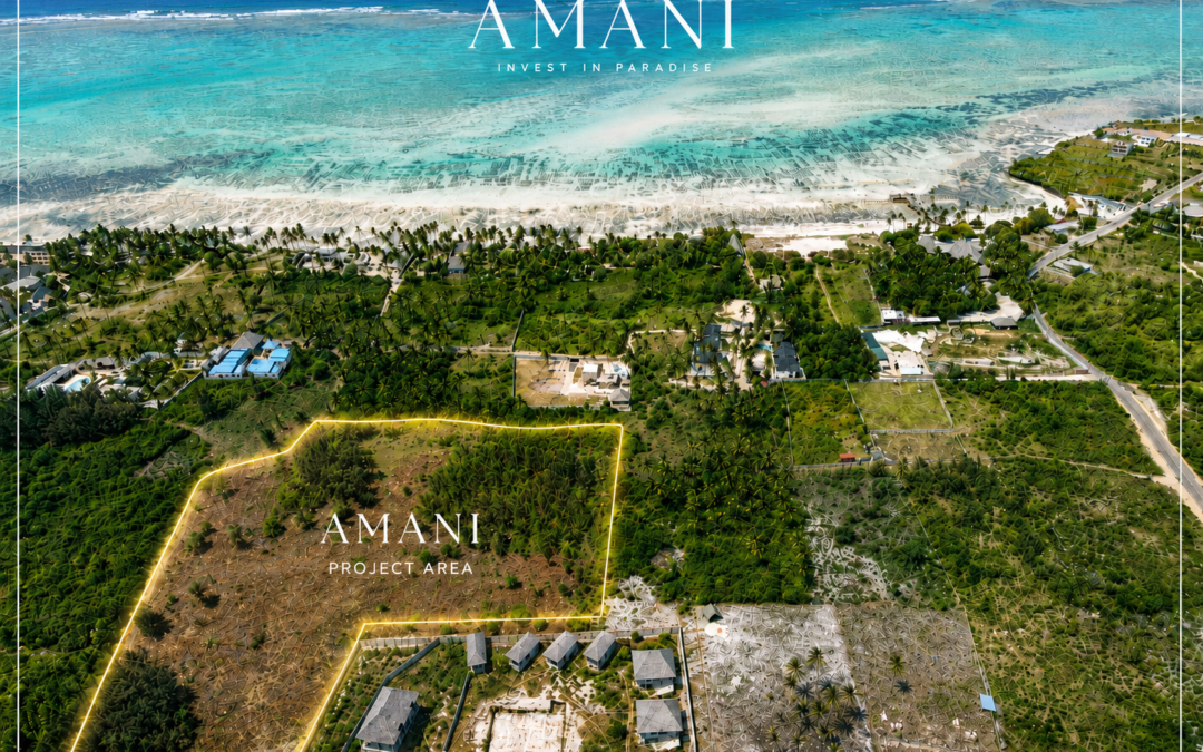 Terrain 19500m2 – Shungi
