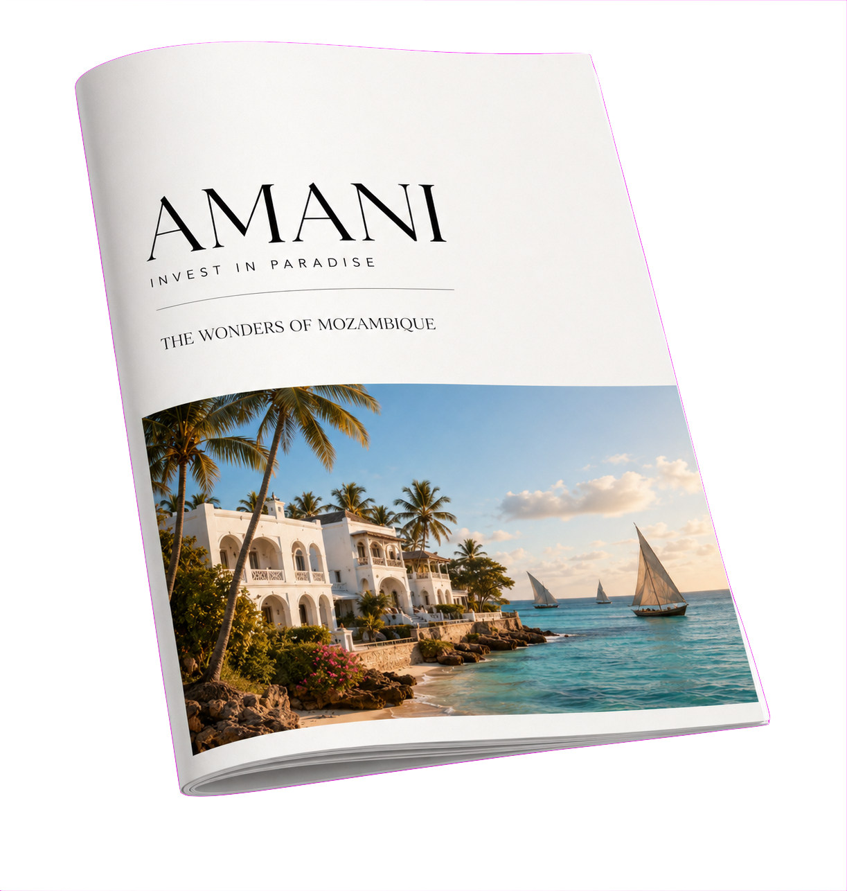 Why Invest in Mozambique — AMANI Investment Guide